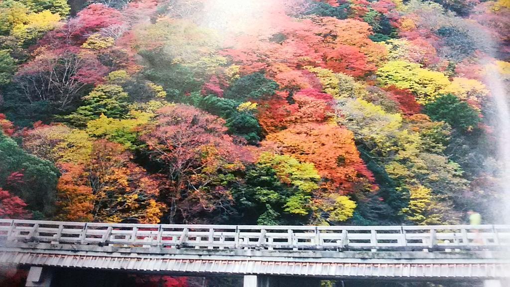 Furusatono Ie Kyoto Ngoại thất bức ảnh